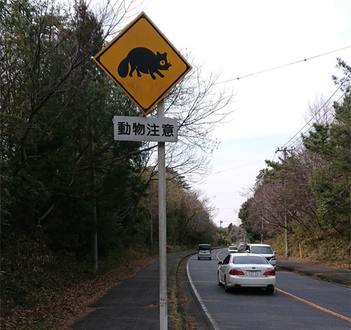 たぬき道路標識