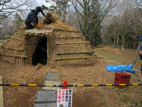 竪穴住居屋根葺き替え作業